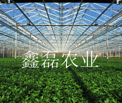 陽(yáng)光板溫室